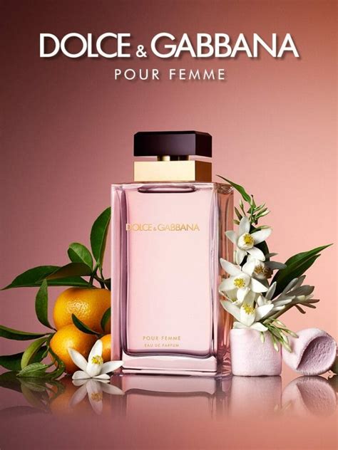 parfumdreams dolce gabbana|dolce and gabbana perfume prices.